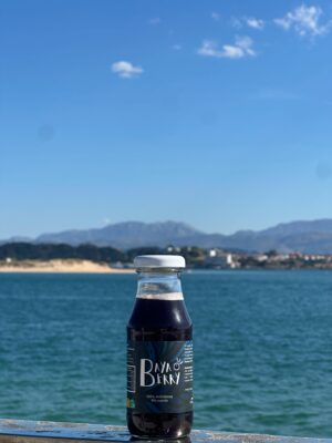 Zumo de arándanos 100% Bayaberry