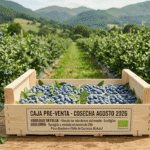 Caja Pre-venta · Cosecha Agosto 2026 🫐